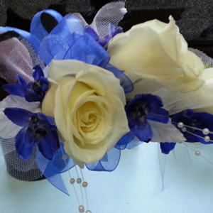 Cream Rose Bright Blue Ribbon Corsage